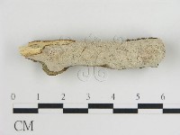 登錄號:F0015130藏品圖，第1張