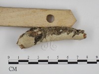 登錄號:F0015132藏品圖，第3張
