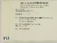 登錄號:F0015133藏品圖，第2張