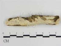 登錄號:F0015133藏品圖，第1張