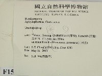 登錄號:F0015134藏品圖，第2張