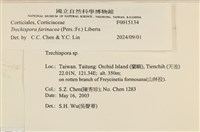 登錄號:F0015134藏品圖，第3張