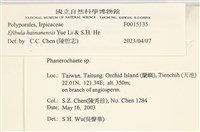 登錄號:F0015135藏品圖，第3張