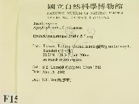 登錄號:F0015136藏品圖，第2張