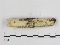 登錄號:F0015136藏品圖，第1張