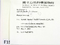 顯絲菌屬藏品圖，第2張