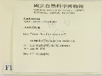 登錄號:F0015139藏品圖，第2張
