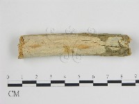 登錄號:F0015139藏品圖，第1張