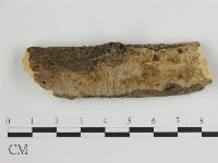 登錄號:F0015142藏品圖，第1張