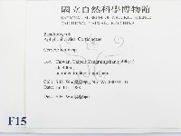 登錄號:F0015143藏品圖，第2張