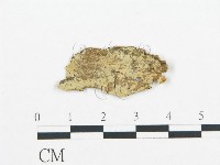 登錄號:F0015143藏品圖，第1張