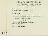 登錄號:F0015145藏品圖，第2張