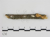 登錄號:F0015145藏品圖，第1張