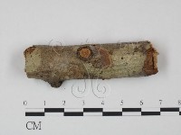 登錄號:F0015146藏品圖，第1張