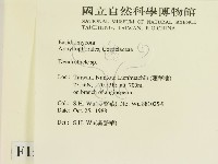 登錄號:F0015148藏品圖，第2張