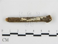 登錄號:F0015149藏品圖，第1張