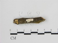 登錄號:F0015151藏品圖，第1張