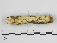 登錄號:F0015152藏品圖，第1張
