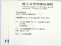 登錄號:F0015154藏品圖，第2張