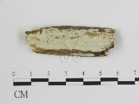 登錄號:F0015155藏品圖，第1張