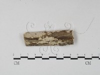 登錄號:F0015156藏品圖，第1張