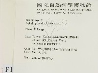 登錄號:F0015159藏品圖，第2張