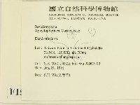 登錄號:F0015160藏品圖，第2張