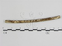 登錄號:F0015160藏品圖，第1張