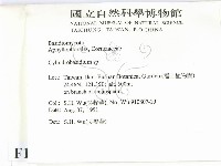 柱擔菌屬藏品圖，第2張