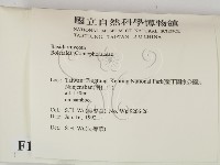 登錄號:F0015164藏品圖，第2張