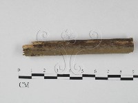 登錄號:F0015164藏品圖，第1張