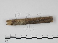 登錄號:F0015164藏品圖，第3張