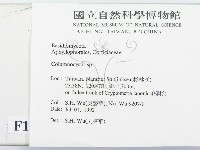 登錄號:F0015165藏品圖，第2張