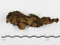 登錄號:F0015165藏品圖，第1張