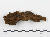 登錄號:F0015165藏品圖，第3張