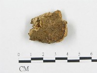 登錄號:F0015166藏品圖，第3張