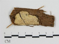 登錄號:F0015167藏品圖，第1張