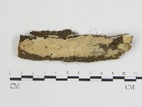登錄號:F0015169藏品圖，第1張