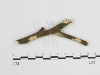 登錄號:F0015170藏品圖，第1張