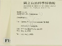 登錄號:F0015174藏品圖，第2張