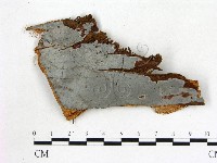 登錄號:F0015175藏品圖，第1張