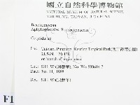 登錄號:F0015176藏品圖，第2張