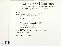 登錄號:F0015177藏品圖，第2張