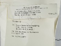 登錄號:F0015178藏品圖，第2張