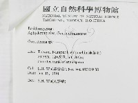 登錄號:F0015178藏品圖，第3張