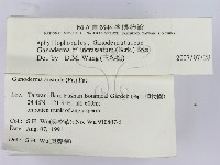 登錄號:F0015179藏品圖，第2張