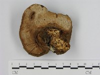 登錄號:F0015179藏品圖，第4張