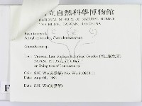 登錄號:F0015180藏品圖，第3張