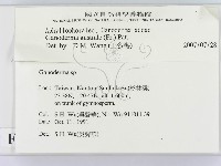 登錄號:F0015181藏品圖，第2張