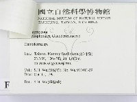 登錄號:F0015181藏品圖，第3張